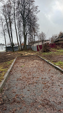 В Палехе в центральном парке вырубили вековые липы